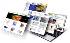 “Web Evolution”   продвижение и разработка сайтов