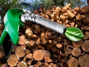 В Германии стимулируют переход на биотопливо